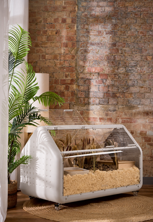 Bandaby Hamster Home No. 2