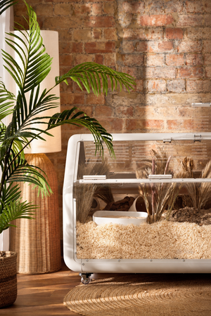 Bandaby Hamster Home No. 2