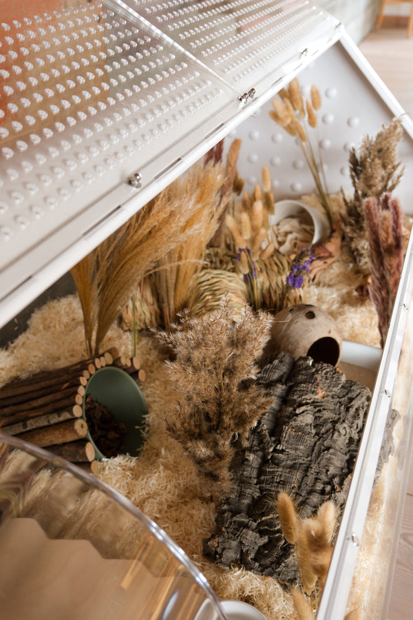 Bandaby Hamster Home