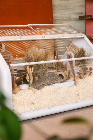 Bandaby Hamster Home