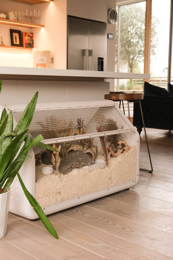 Bandaby Hamster Home
