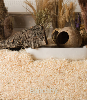 Dig & Dream Aspen Bedding
