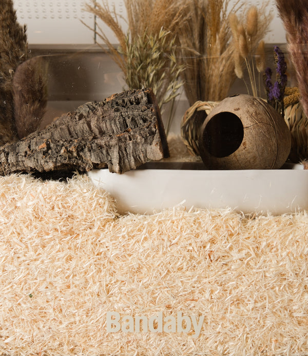 Dig & Dream Aspen Bedding