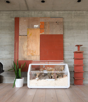 Dig & Dream Aspen Bedding
