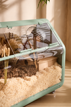 Bandaby Hamster Home No. 2