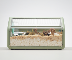 Bandaby Hamster Home