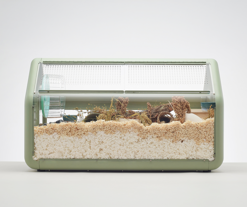 Bandaby Hamster Home