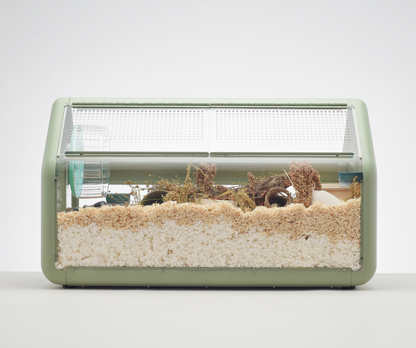 Bandaby Hamster Home