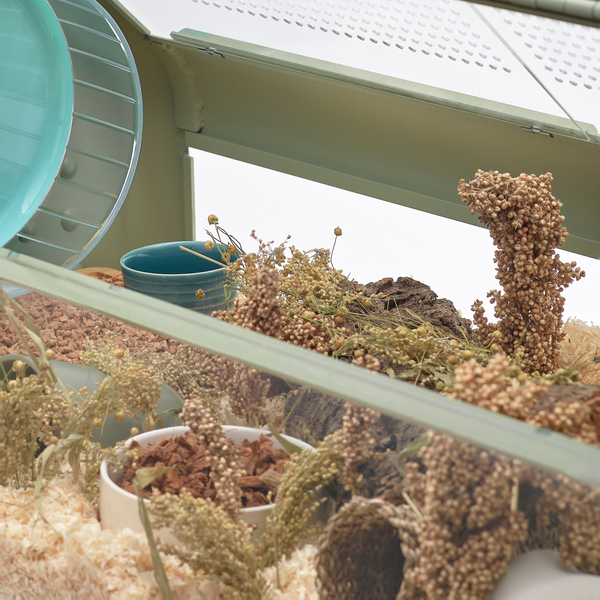 Bandaby Hamster Home