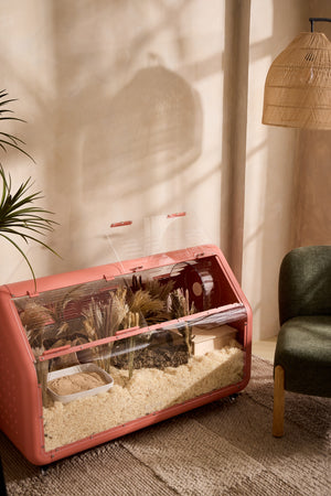 Bandaby Hamster Home No. 2