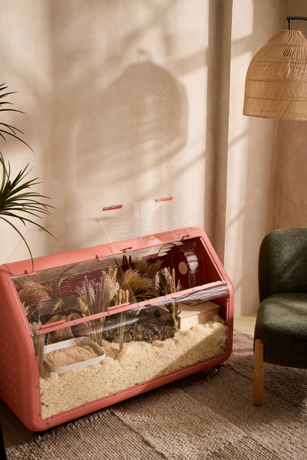 Bandaby Hamster Home No. 2