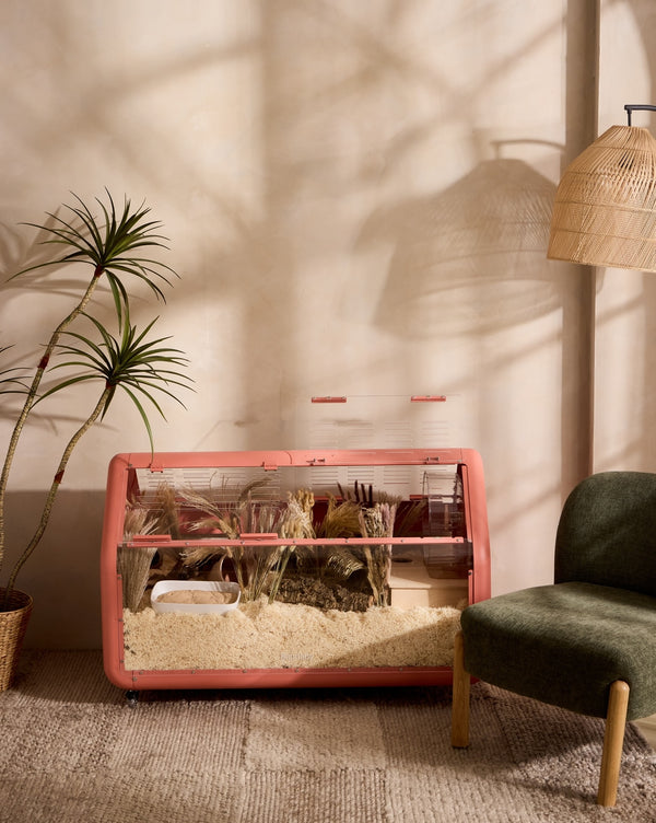Bandaby Hamster Home No. 2