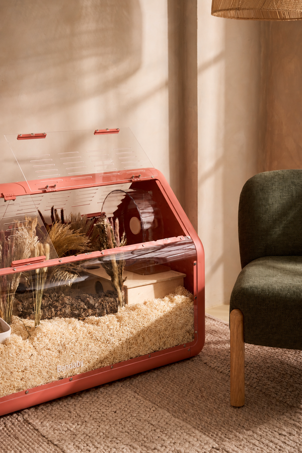 Bandaby Hamster Home No. 2