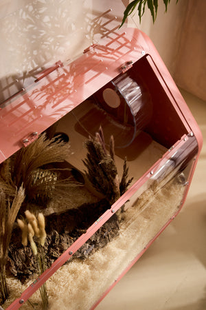 Bandaby Hamster Home No. 2