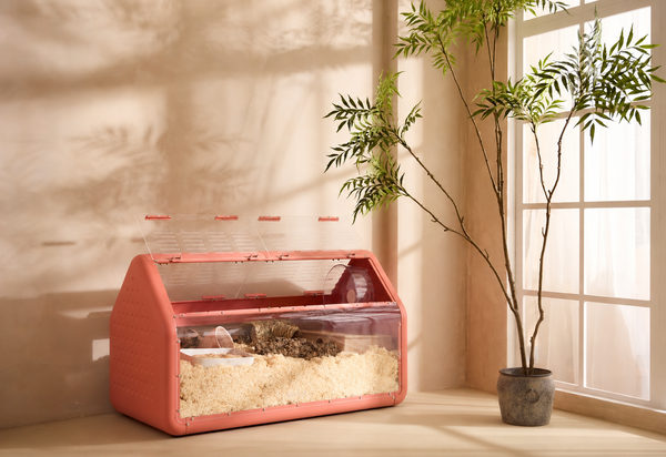 Bandaby Hamster Home No. 2