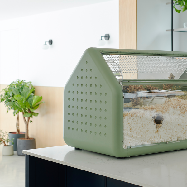 Bandaby Hamster Home