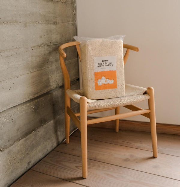 Dig & Dream Aspen Bedding